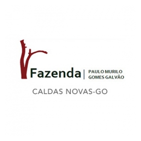 fazendagalvão-caldas-novas-go